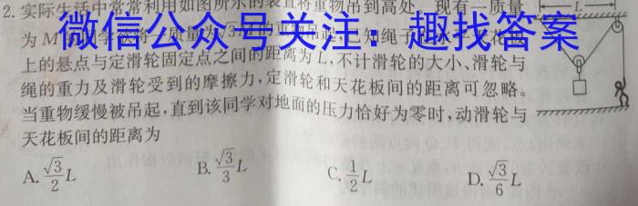 安徽省合肥市包河区2022-2023学年第二学期教学质量检测(二)z物理