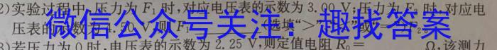［益卷］2023年陕西省初中学业水平考试冲刺卷（D版）z物理