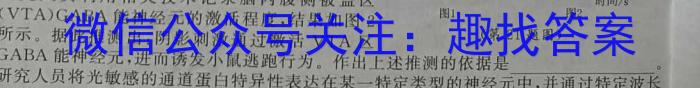 晋城市2023年高三第三次模拟考试试题(23-444C)生物