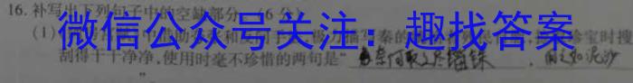 衡水金卷 2022-2023学年度下学期高二年级三调考试(新教材·月考卷)语文