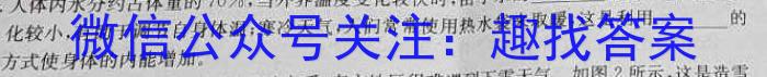 ［衡水大联考］2023届高三年级5月份大联考（新高考）z物理