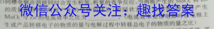 2023年陕西省初中学业水平考试B版T版化学