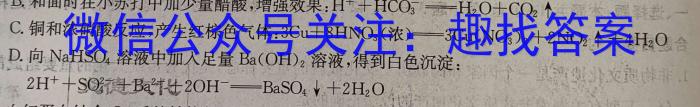 2023年湖南省普通高中学业水平考试仿真试卷(合格性考试)(第二次考试)化学