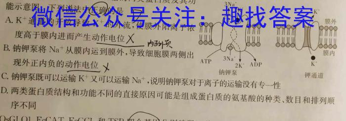 重庆康德2023年普通高等学校招生全国统一考试高考模拟调研卷(七)生物