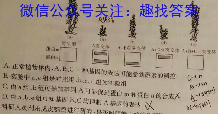 三晋名校联盟·2022-2023学年高中毕业班阶段性测试（七）生物试卷答案