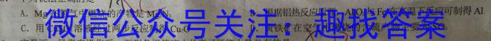 安徽第一卷·2023年中考安徽名校大联考试卷（三）化学