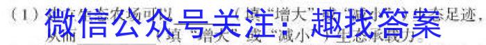 2023年普通高等学校统一模拟招生考试新未来5月联考（高三）生物试卷答案