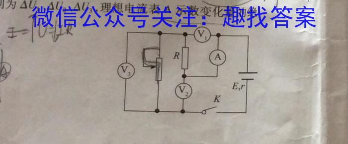 2023年安徽省中考联盟压轴卷（三个三角形）f物理