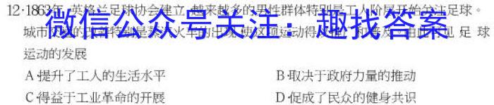 2023年陕西省初中学业水平考试模拟试卷T2历史
