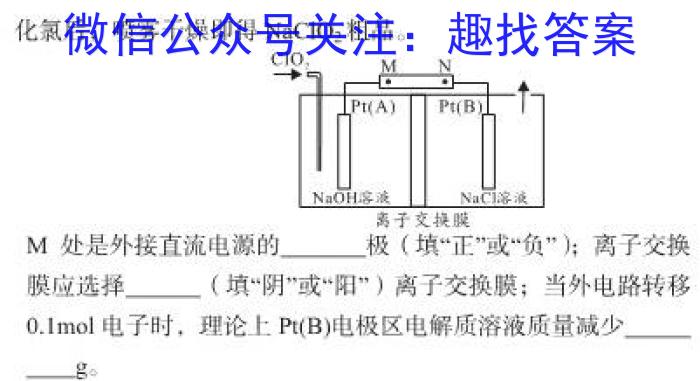 2023届安徽省中考规范总复习(九)化学