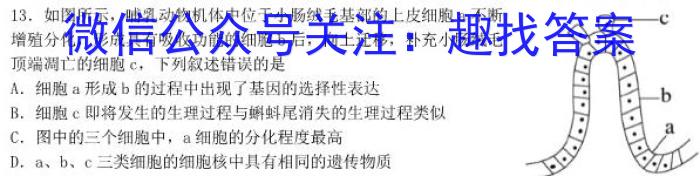 2023届新疆维吾尔自治区普通高考第三次适应性检测生物