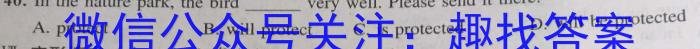 河北省2022-2023学年高三省级联测考试冲刺卷I（四）英语