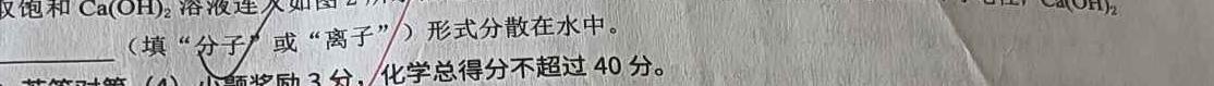 2023年中考密卷·临考模拟卷(二)化学