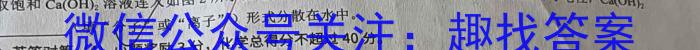 中考模拟压轴系列 2023年河北省中考适应性模拟检测(夺冠一)化学