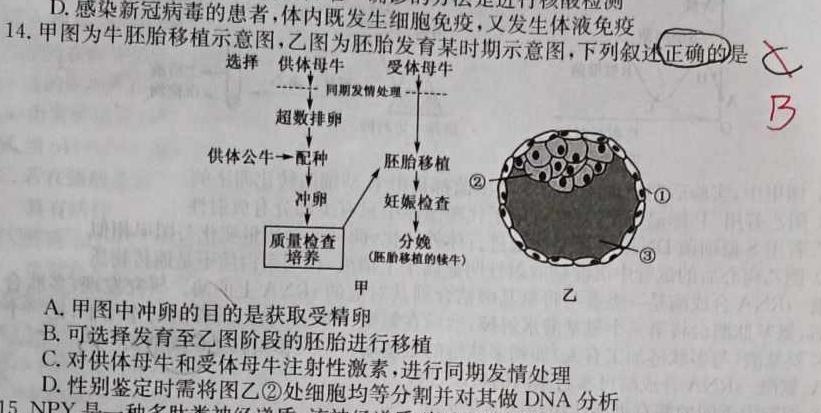 江淮十校2023届高三联考(2023.5)生物