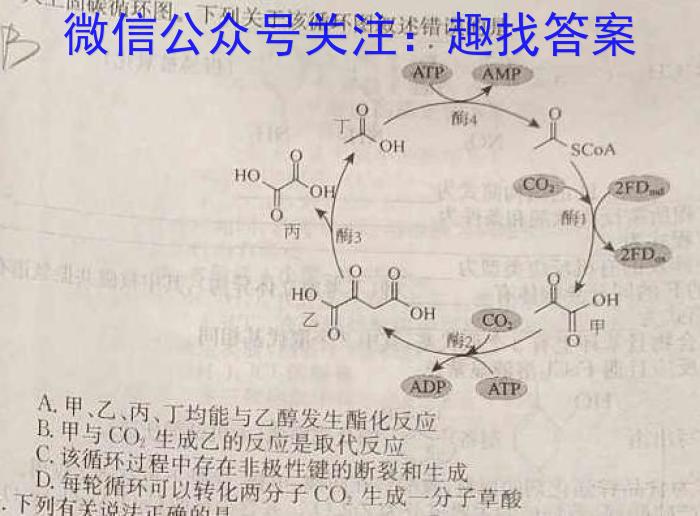 2023届柳州高中/南宁三中高三(5月)联考化学