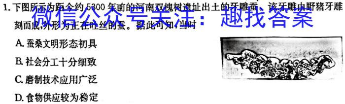 河北省2022-2023学年2023届高三下学期第二次模拟考试历史