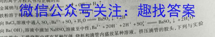 2023届西北师大附中高三模拟考试(2023年5月)化学