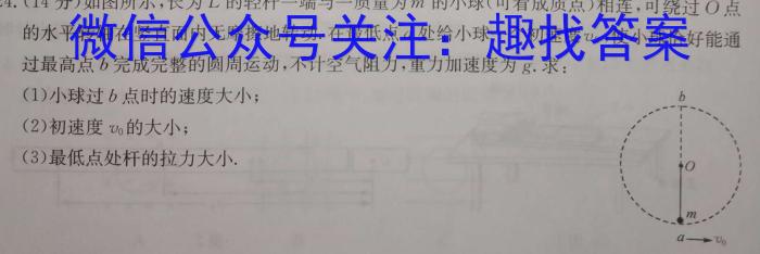 2023年普通高等学校招生全国统一考试·专家猜题卷(二)物理`