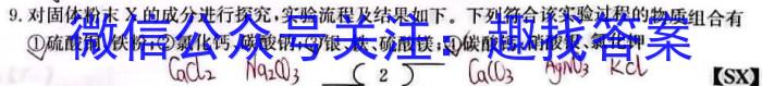 衡中同卷 2024-2023学年度下学期高三五调考试(全国卷)化学