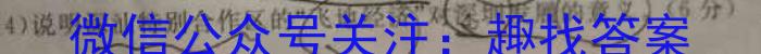 2023届山东省济南市新高考5月针对性训练政治1