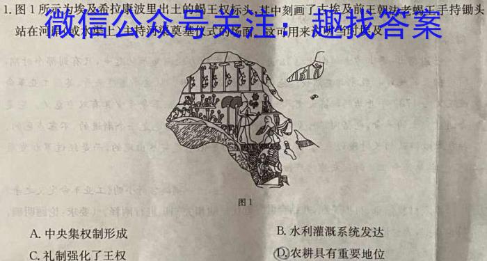 安徽省2024-2023学年七年级教学质量检测（七）历史