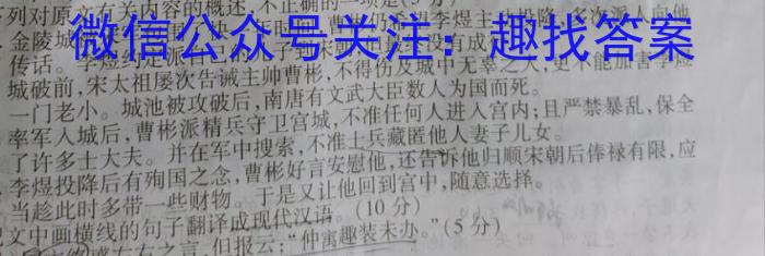 T2·2023年陕西省初中学业水平考试模拟试卷A语文
