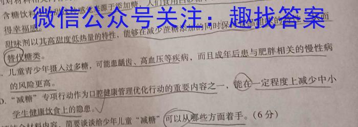 2023年辽宁省普通高等学校招生选择性考试模拟试题（二）语文