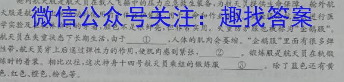 2023年陕西省初中学业水平考试冲刺（二）语文