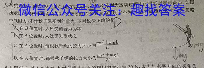 一步之遥 2023年河北省初中毕业生升学文化课考试模拟考试(八)物理`