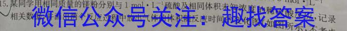 江西省2022-2023学年度初三模拟巩固训练（二）化学