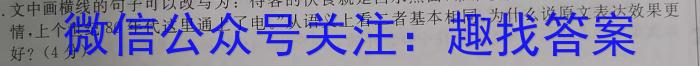 ［考前押题］2023年九师联盟高三年级高考考前押题（X）语文