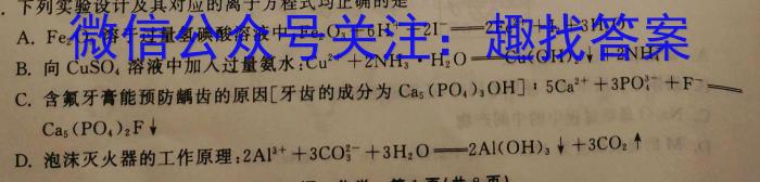 C20教育联盟2023年安徽省中考“最后一卷”化学