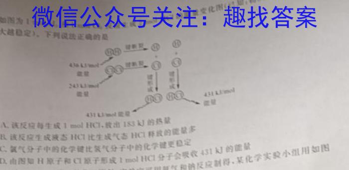 江淮名卷·2023年安徽中考押题卷（二）化学