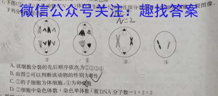 广西南宁市2022-2023学年度高二年级下学期期末普高联考生物试卷答案