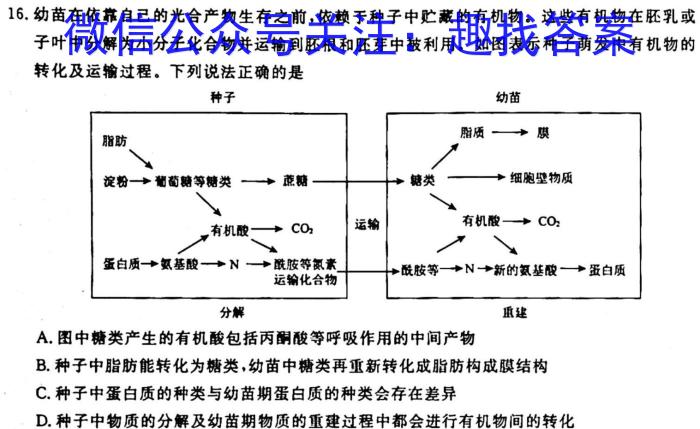 九师联盟 2022-2023学年高二洛阳强基联盟5月联考生物试卷答案