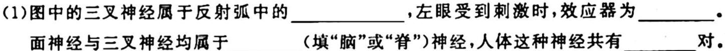 宝鸡教育联盟2022-2023学年度第二学期高二期末质量检测(23734B)生物
