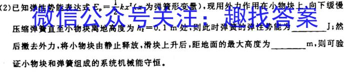 023年普通高等学校招生全国统一考试适应性考试(5月)q物理"