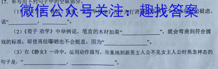 2023年湖北省高三年级5月联考（524C·HUB）语文