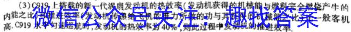 2023年安徽省初中学业水平考试 冲刺(一)物理`