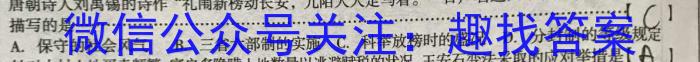 2023年辽宁大联考高三年级5月联考（517C·LN）（政治）