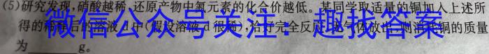 天一大联考2022-2023学年海南省高考全真模拟卷(八)化学