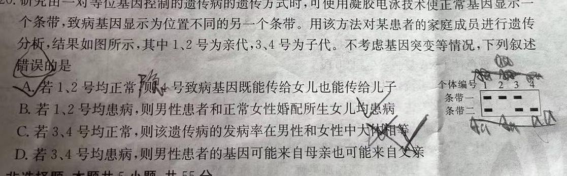 南昌县2022-2023学年度八年级第二学期期末考试生物