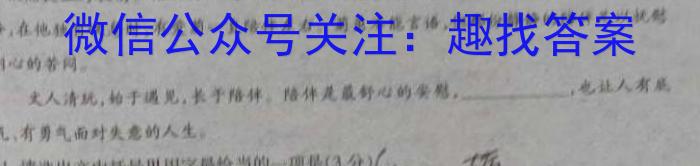 2023届全国百万联考高二6月联考(006B)语文