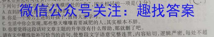 2023年商洛市第三次高考模拟检测试卷(23-432C)语文