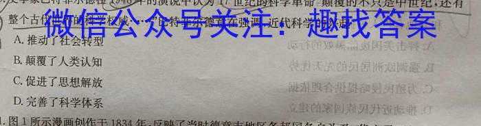 2023年辽宁抚顺大联考高二年级5月联考（23-451B）历史