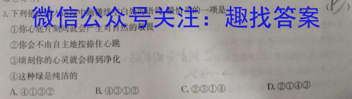 广西2023年5月高中毕业班高考模拟测试语文