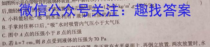 江西省吉安市重点中学六校协作体2023五月联合考试f物理