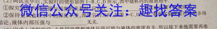 2023届内蒙古高三考试5月联考(23-427C)z物理