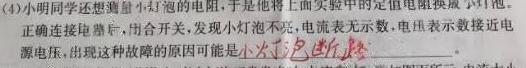 中考模拟压轴系列 2023年河北省中考适应性模拟检测(仿真二)-物理